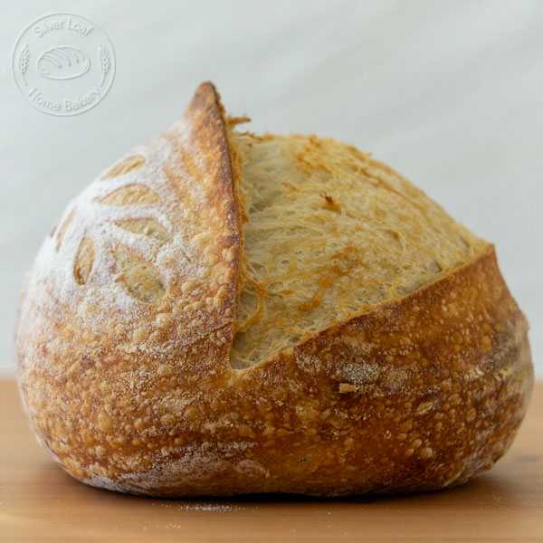 Original Sourdough Bread
