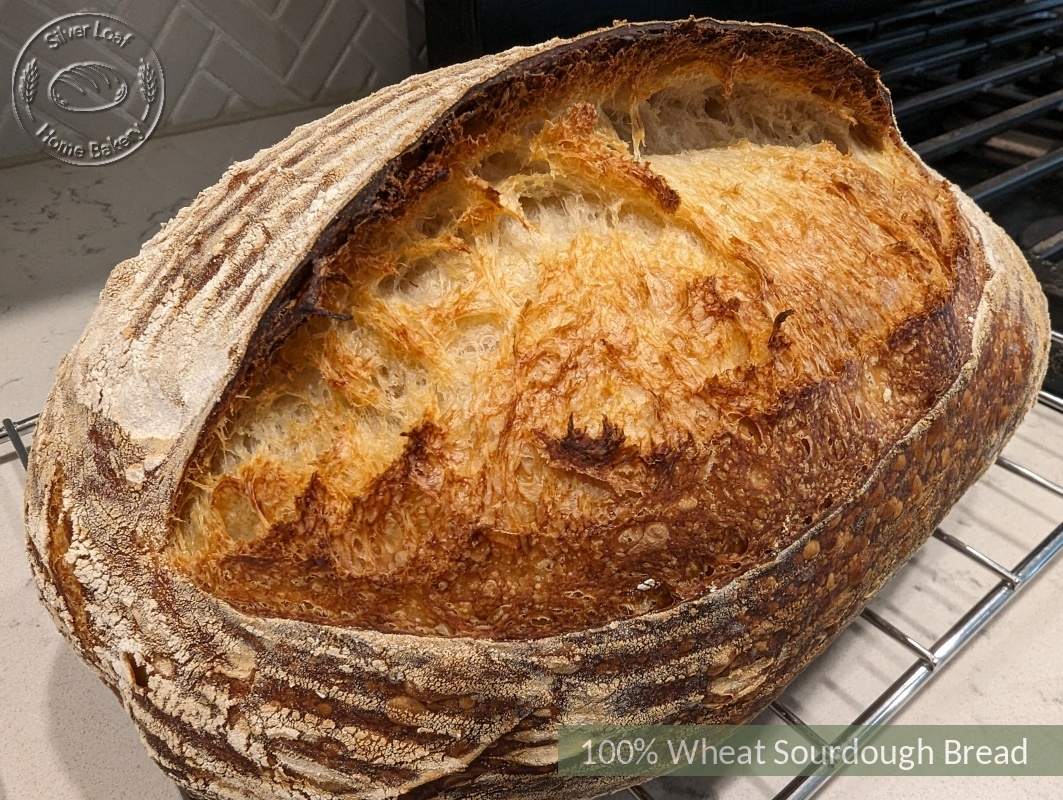 Freshly baked bread