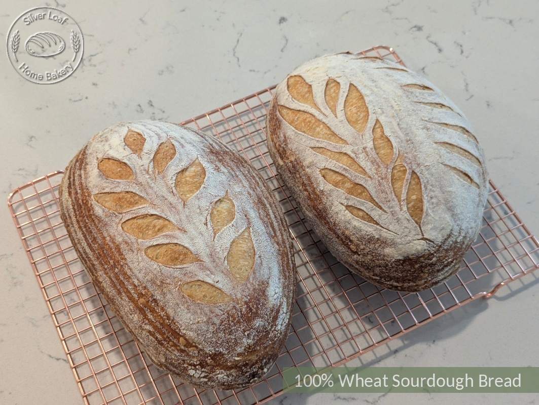 Freshly baked bread